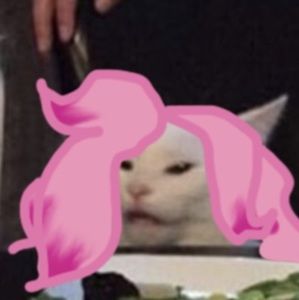 Meet your Posher, Charlie’s